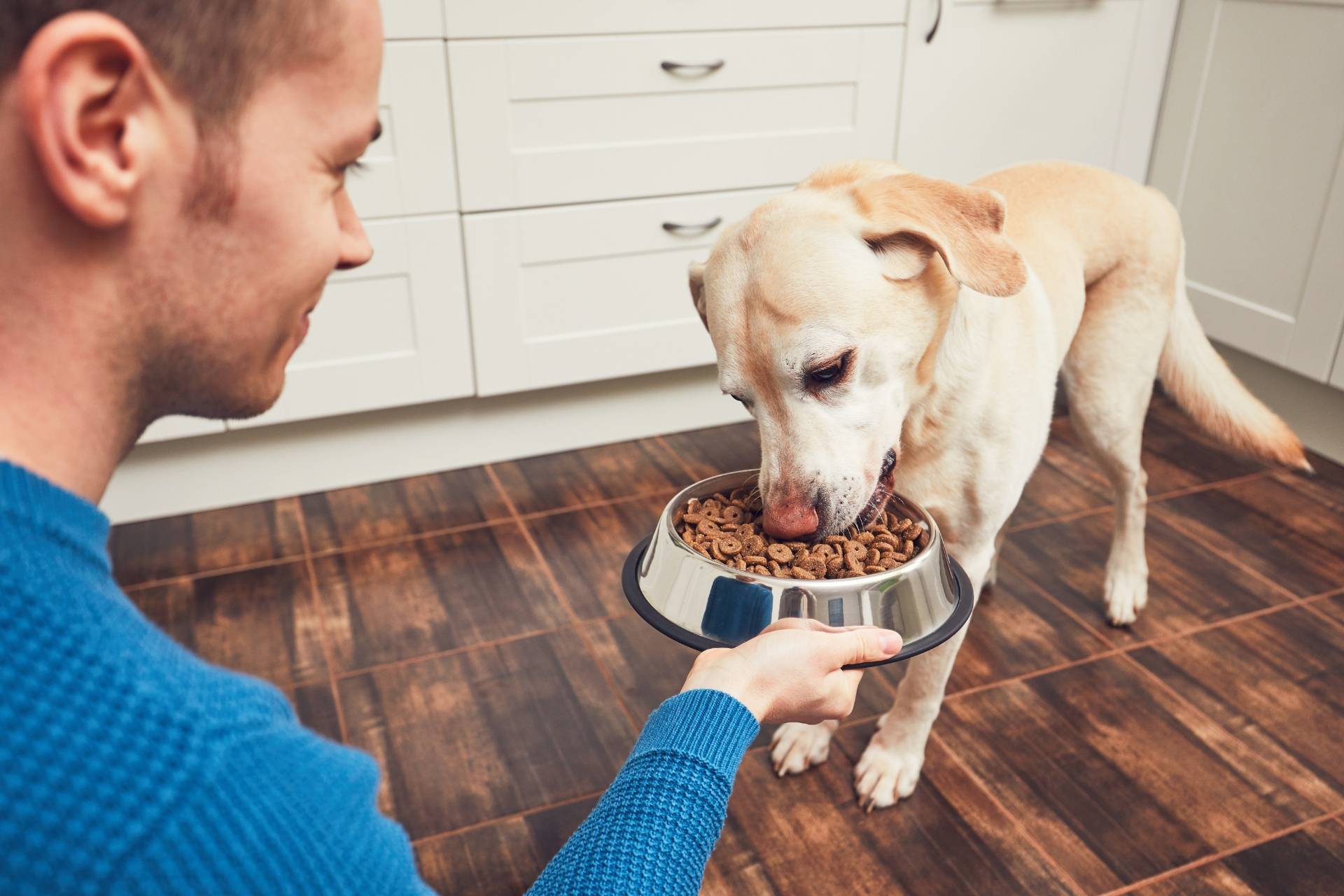 Un hombre alimentando a un perro