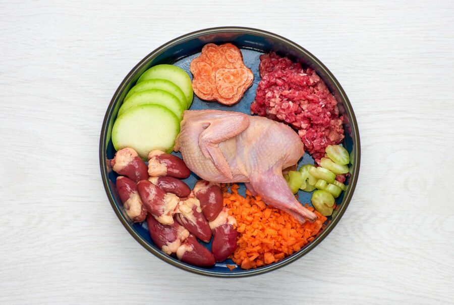 Plato de comida BARF para gatos y perros