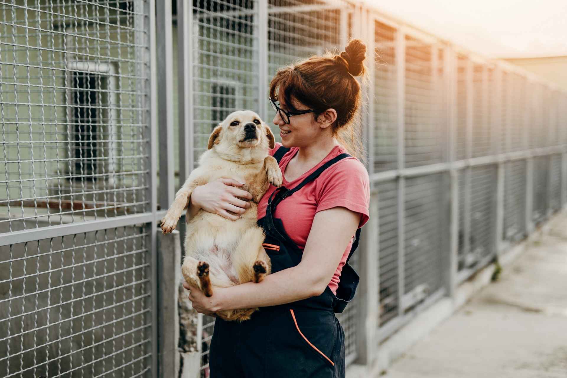 Una mujer adoptando a un perro