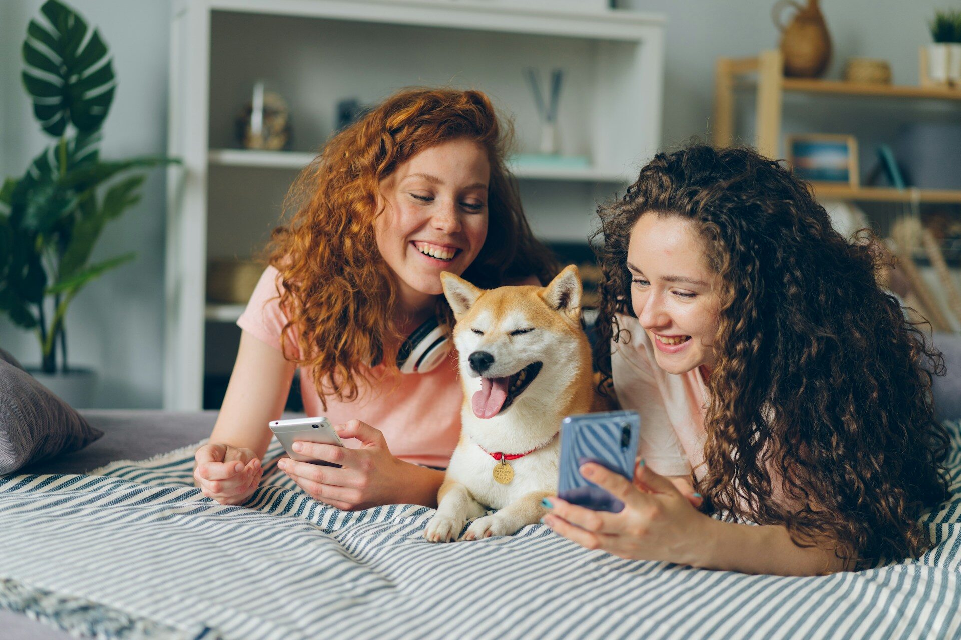 Two women lying on a bed with a dog