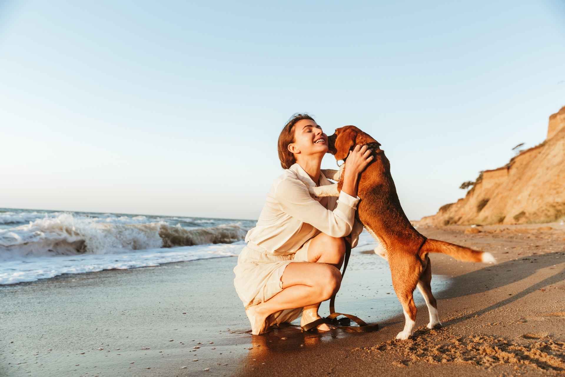 Perro mostrando amor a su dueña en la playa