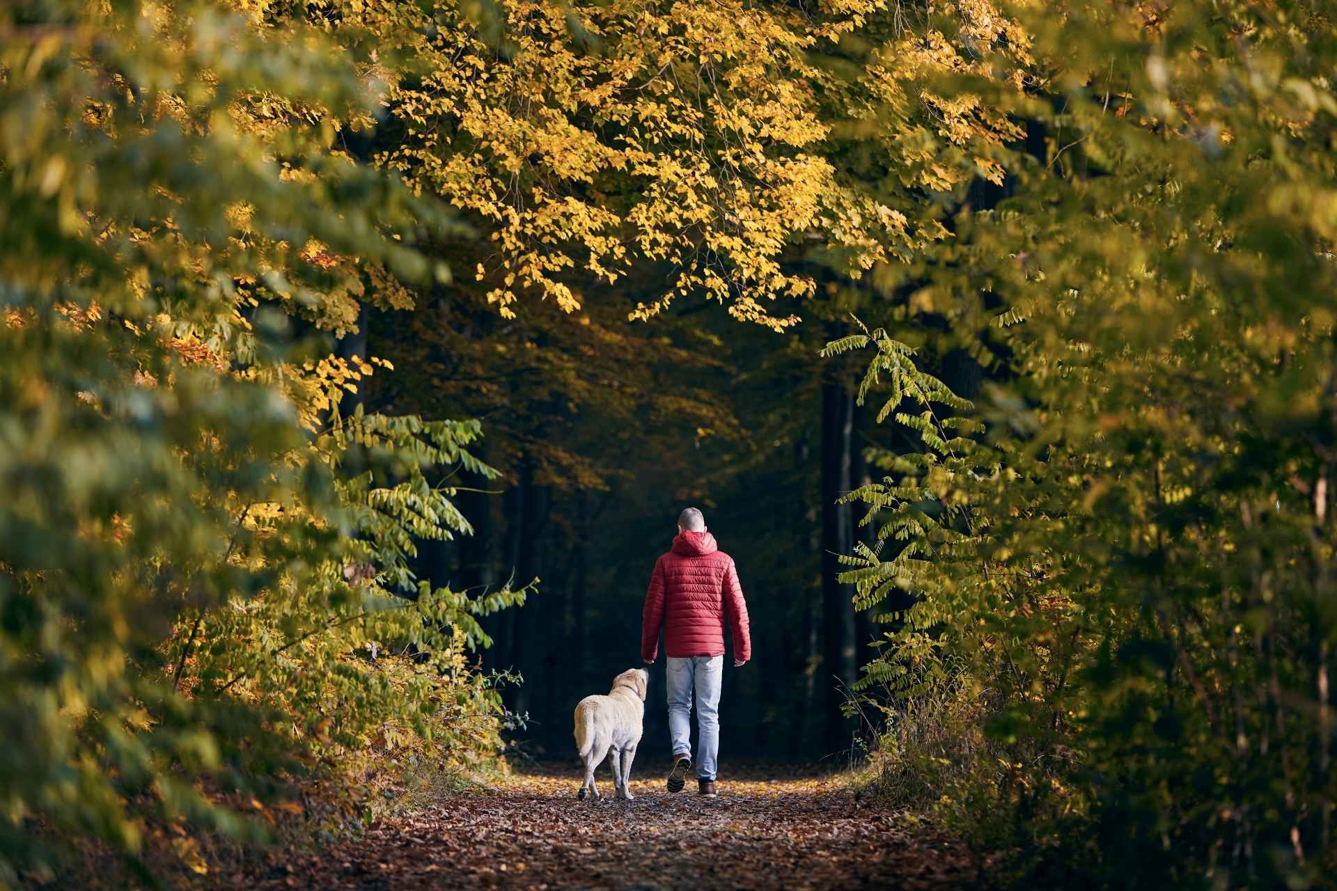 Hombre paseando a su perro