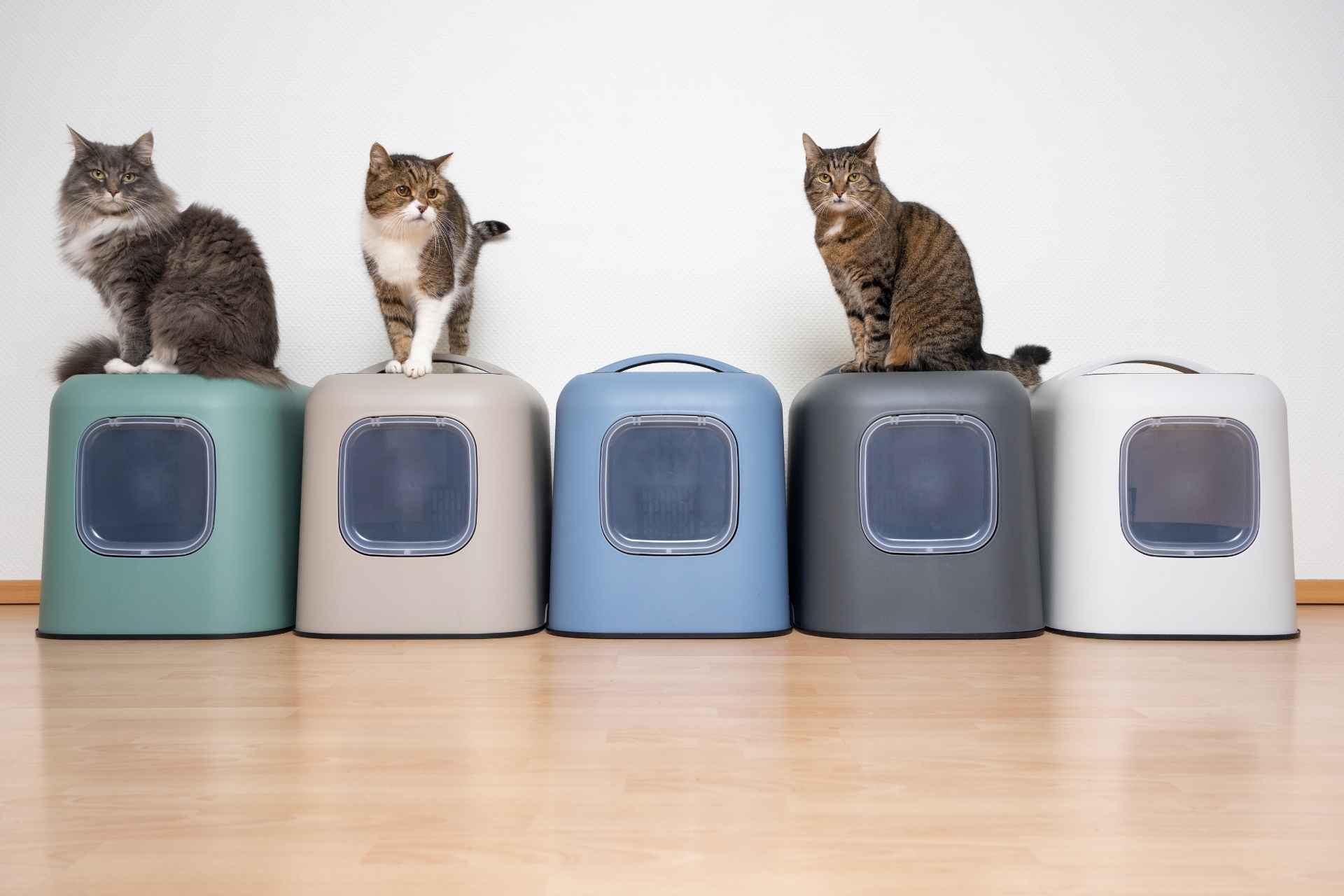 Tres gatos encima de sus baños