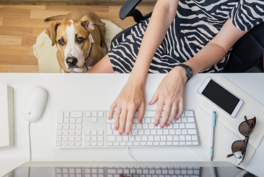 Mujer escribiendo en un teclado con su perro al lado