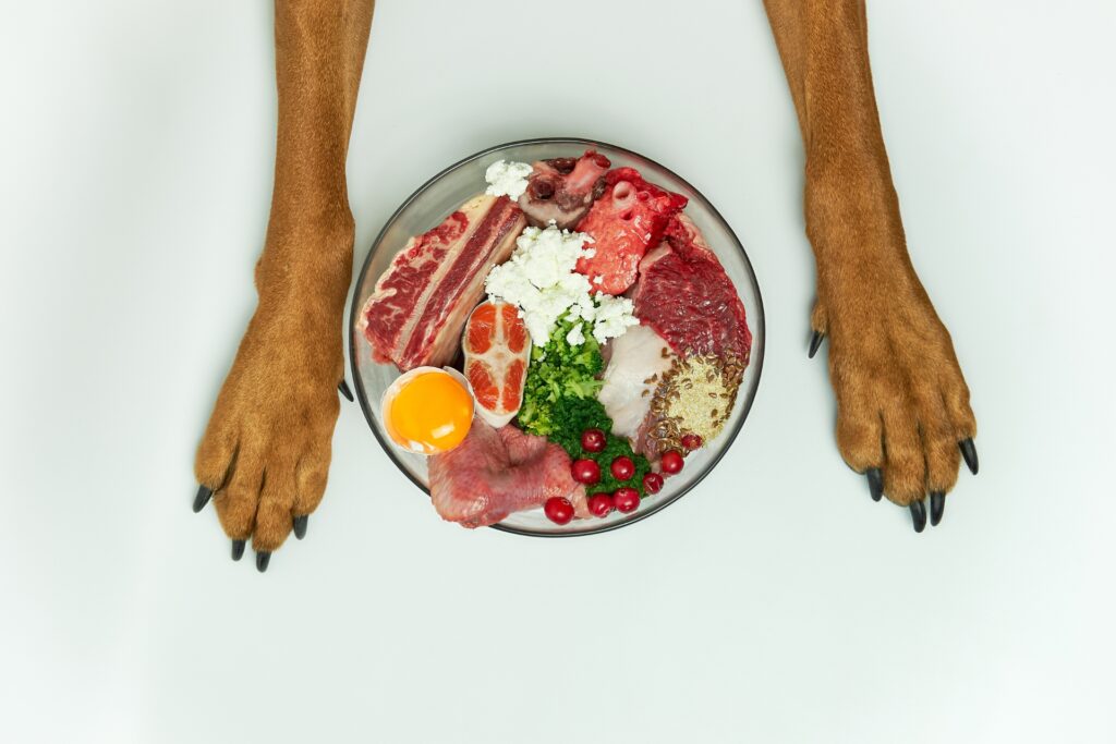 Primer plano de un plato con carne cruda, huevo, verduras y suplementos para la dieta natural de un perro