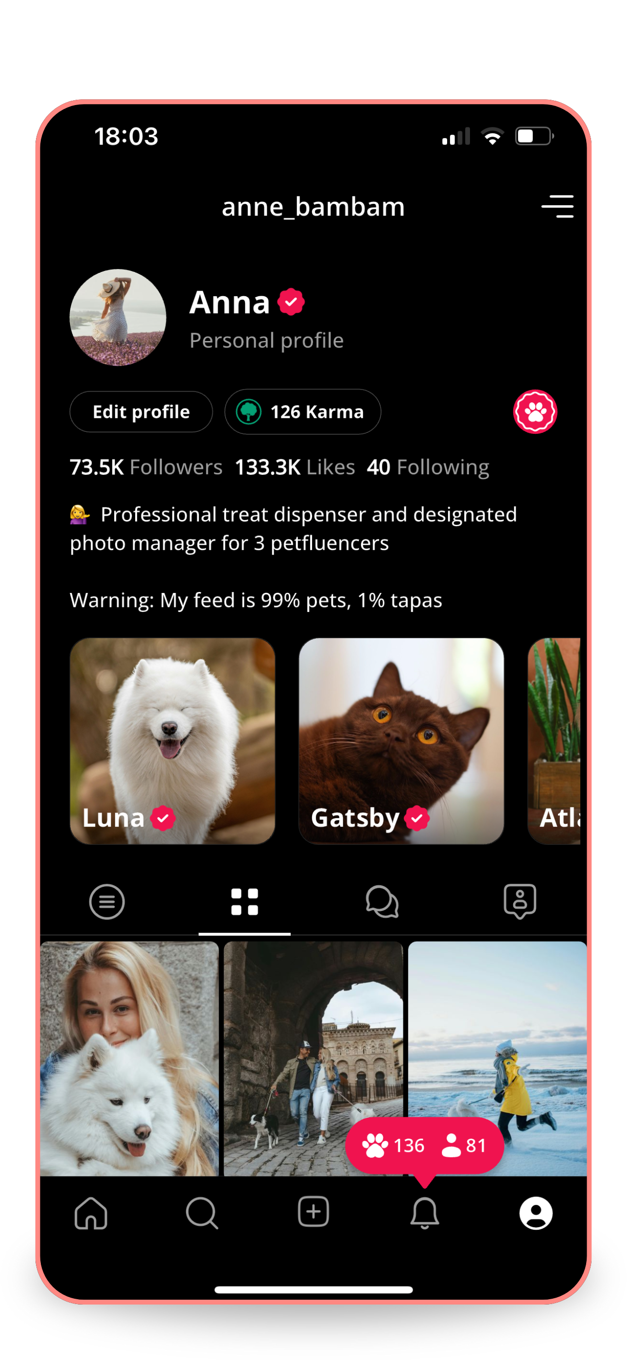 Screenshot of Petme profile for anne_bambam (Anna) with 73.5K followers, 133.3K likes. Bio: "Professional treat dispenser for 3 petfluencers. 99% pets, 1% tapas." Features pets Luna (Samoyed), Gatsby (cat), Atl (plant). Posts show dog photos with 136 likes.