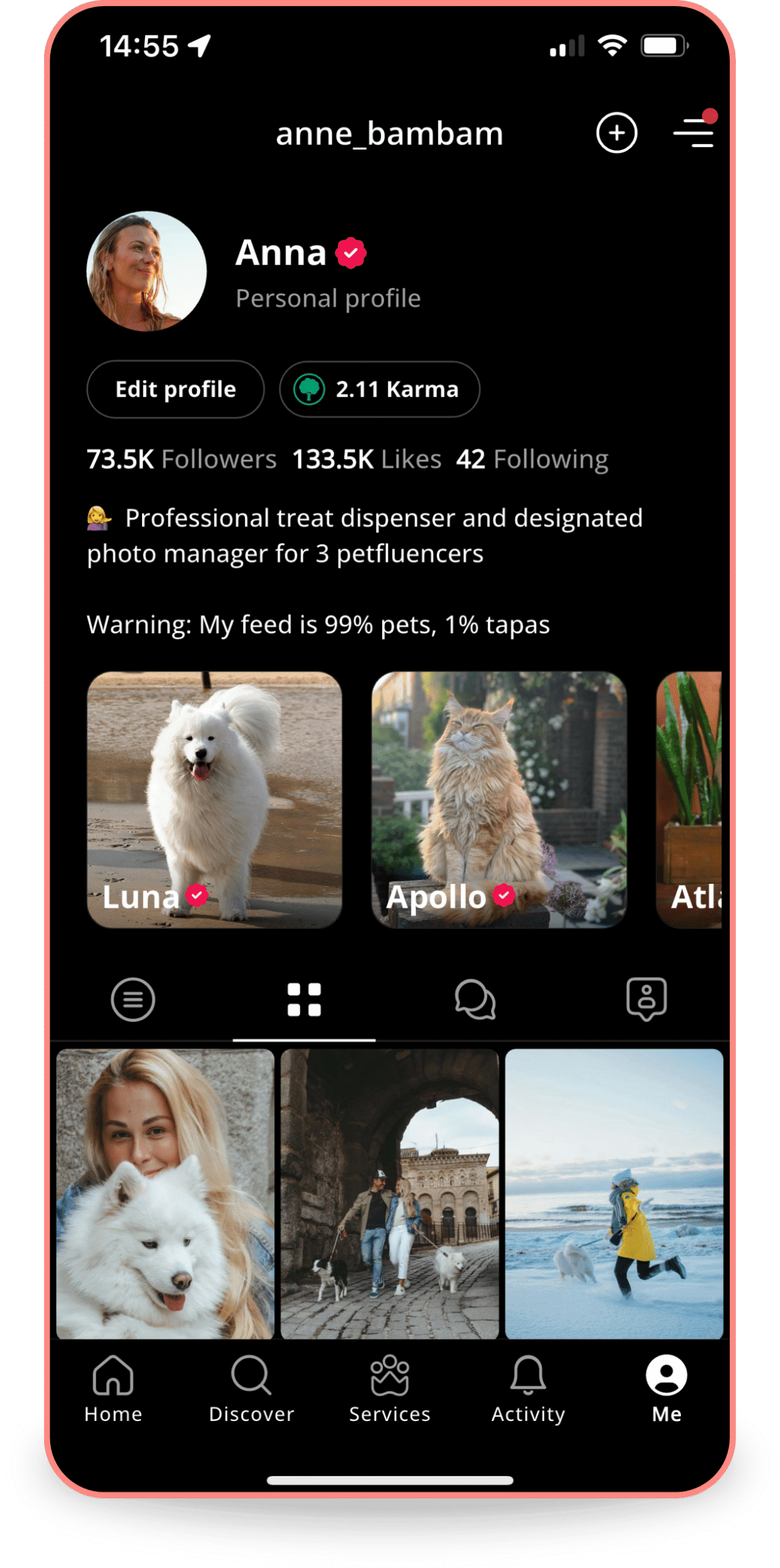 Screenshot of Petme profile for anne_bambam (Anna) with 73.5K followers, 133.3K likes.