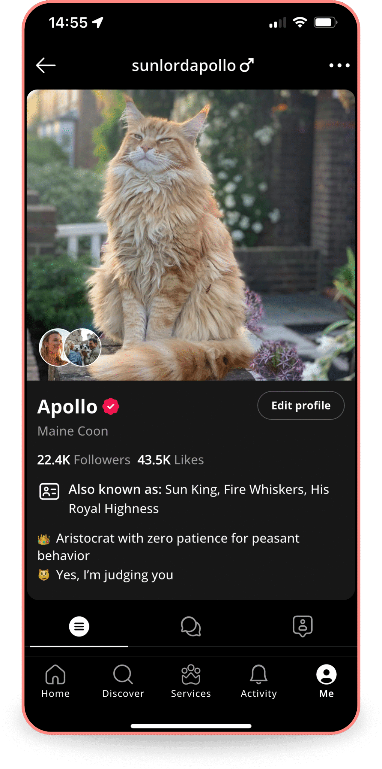 A smartphone screen displaying a Petme profile for "Gatsby," a British Shorthair cat, with a close-up photo of the cat's face.