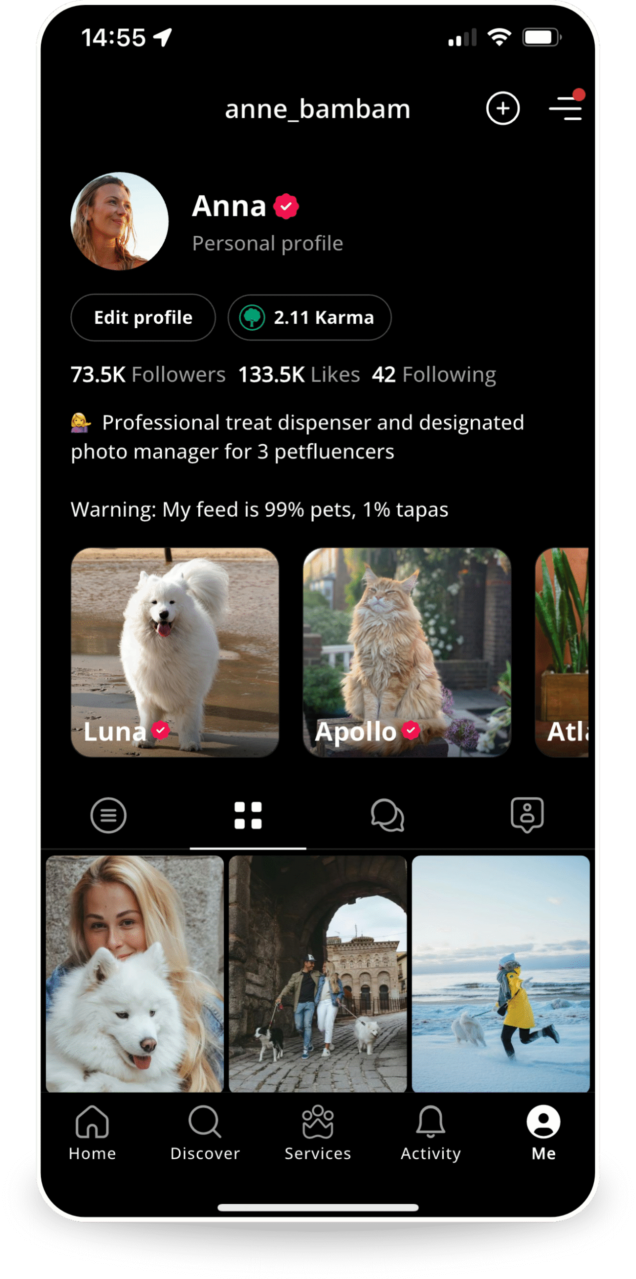 Proceso de descarga de la app de cuidado de mascotas