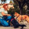 Una mujer arrodillada con tres perros en un parque.