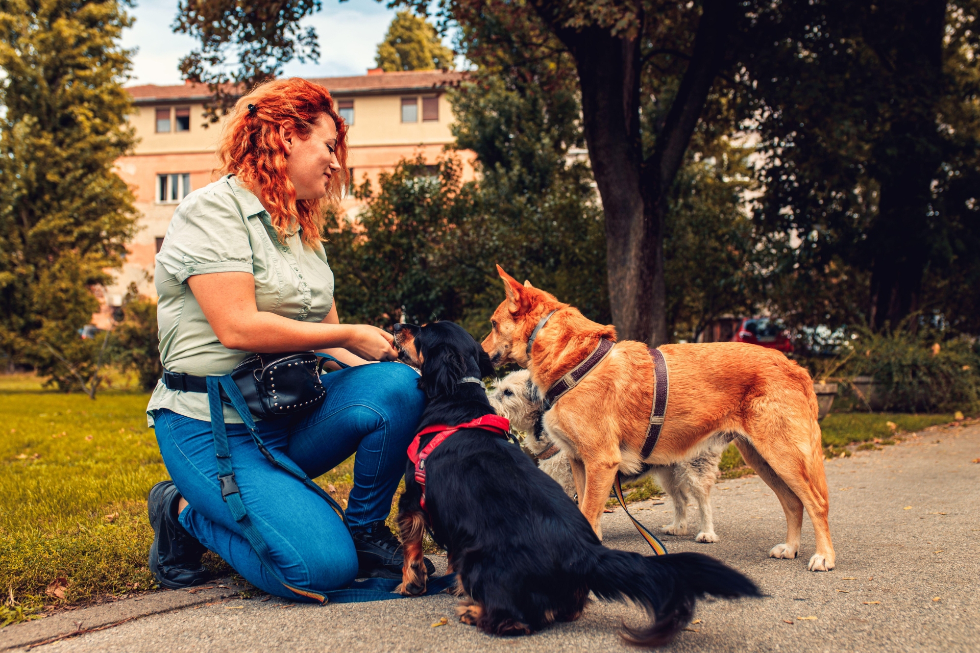 Una mujer arrodillada con tres perros en un parque.