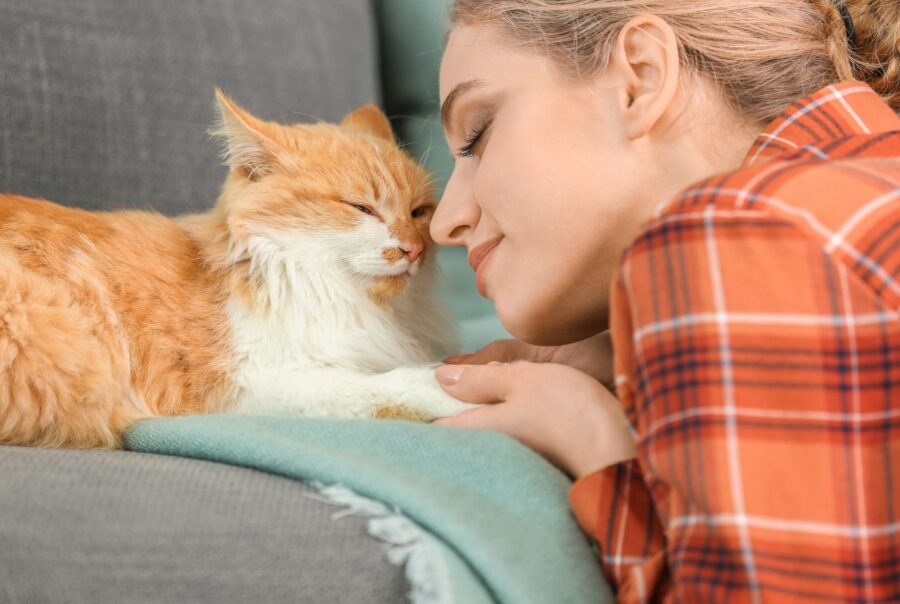 Una mujer besando a un gato naranja en un sofá.